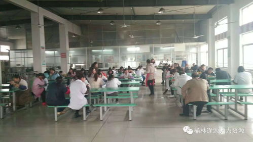 绥德毛绒玩具厂技术培训启动，旅通信息助力就业新机遇